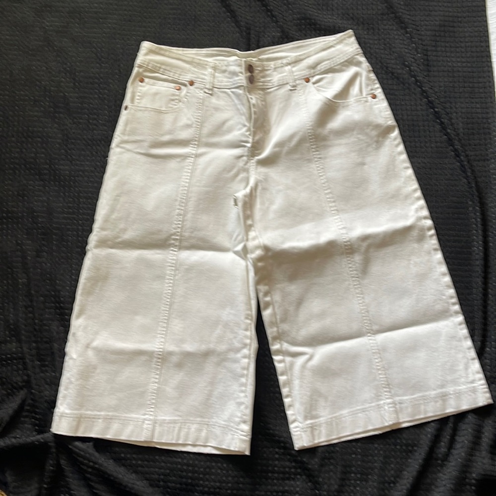 Cato - sz12